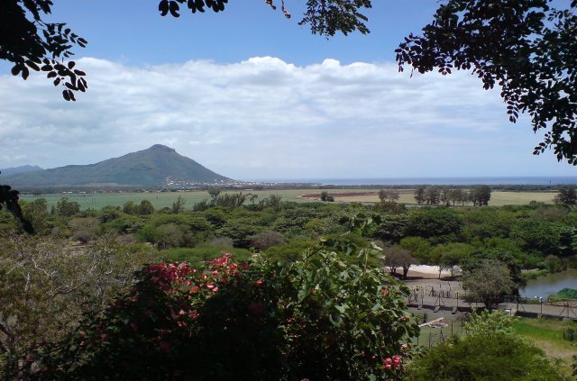 Casela